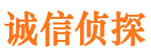 根河私家调查公司